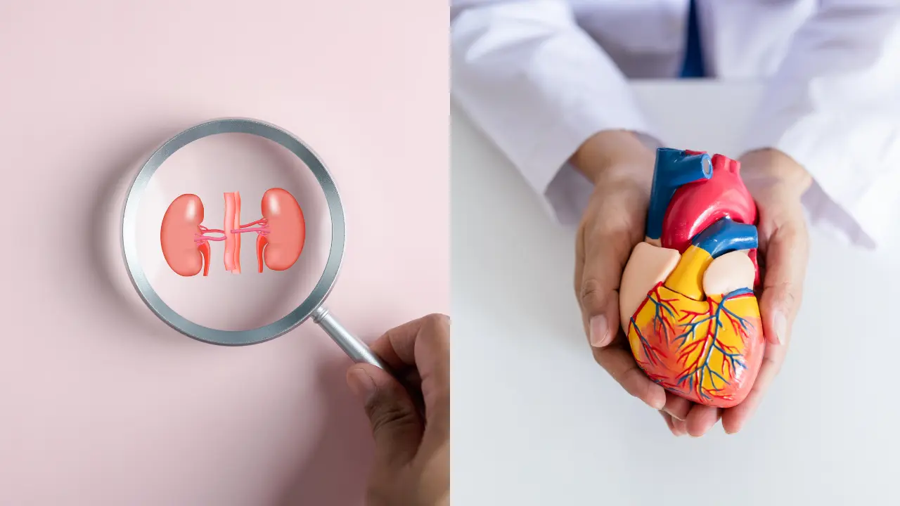 Heart Health and Kidney Health