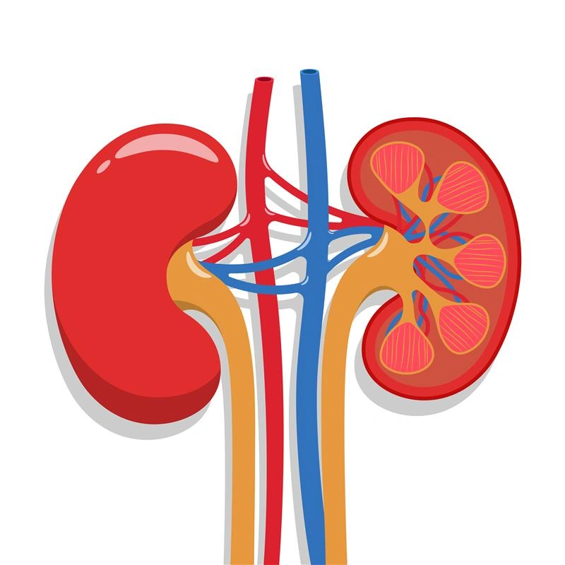 Kidney Disease