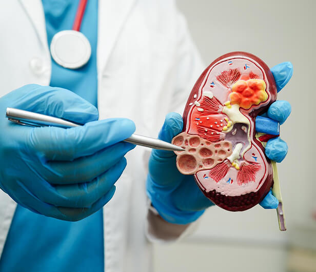 SURGICAL-EXPERIENCE-FROM-CENTRES-OF-EXCELLENCE