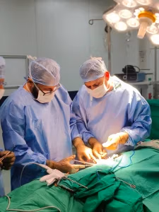 Dr Yusuf Saifee urologist Indore and assistant urologist performing kidney transplant surgery in operation theatre